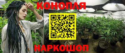СК Брянск