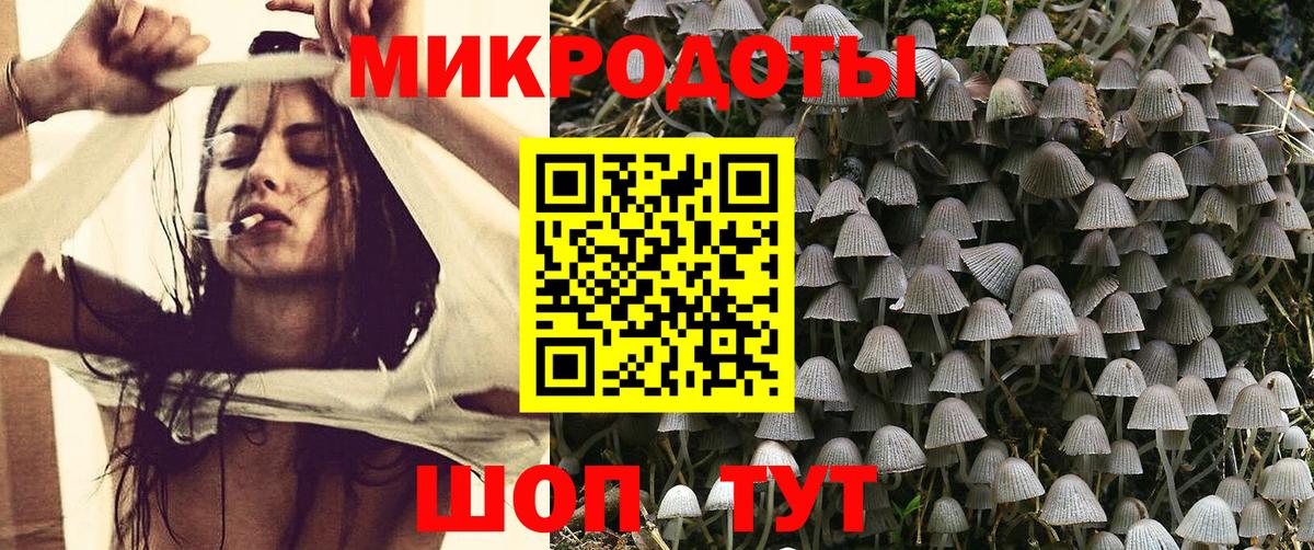 Галлюциногенные грибы Psilocybine cubensis Кстово